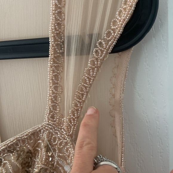 Adrianna Papell Rose champagne Beaded‎ Bodice Dress sz 4 wedding chiffon prom - Picture 5 of 16